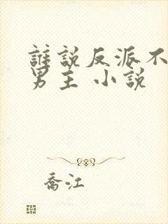 谁说反派不能当男主 小说