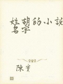 姓胡的小说女主名字封面