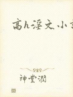 高h淫文小说封面