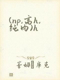 (np,高h,纯肉)h