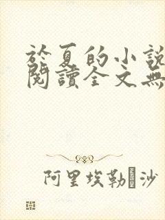 于夏的小说免费阅读全文无弹窗