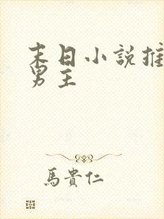 末日小说推荐双男主