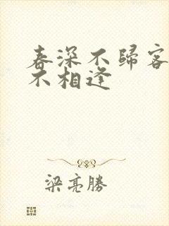 春深不归客清梦不相逢封面