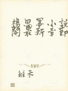 杨思幂小说笔趣阁最新章节