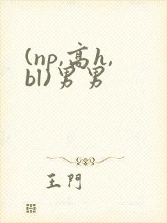 (np,高h,bl)男男