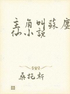 主角叫苏尘的修仙小说