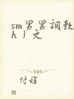 sm男男调教〈h丿文