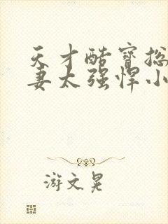 天才酷宝总裁宠妻太强悍小说免费阅读