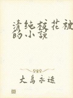 清纯校花被调教的小说封面