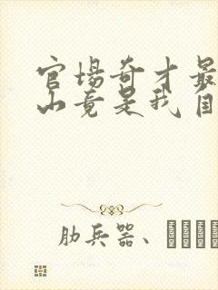 官场奇才最强靠山竟是我自己李澜小说