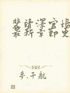 裴靖泽官场小说最新章节更新时间封面