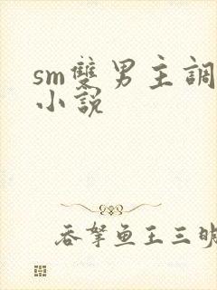 sm双男主调教小说