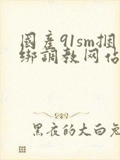 国产91sm捆绑调教网站视频