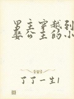 男主穿越到古代娶公主的小说封面