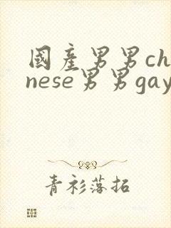 国产男男chinese男男gaygay网站