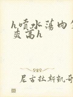 h喷水荡肉失禁爽高h