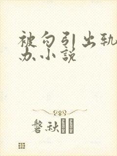 被勾引出轨怎么办小说