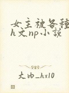 女主被各种调教h文np小说