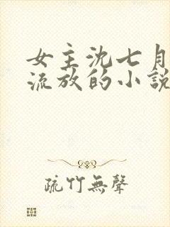 女主沈七月丫鬟流放的小说封面