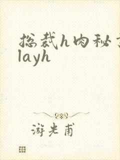 总裁h肉秘书playh封面