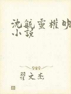 沈毓灵权明赫的小说