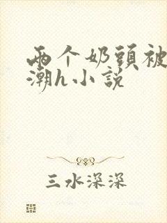 两个奶头被捏高潮h小说