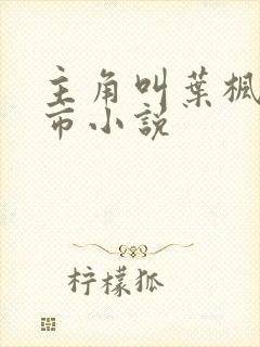 主角叫叶枫的都市小说封面