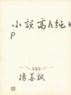 小说高h纯肉np