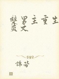 双男主重生复仇爽文