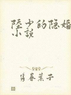 陆少的隐婚罪妻小说封面