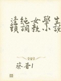 清纯女学生被老头调教小说封面