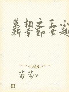 万相之王小说最新章节笔趣阁免费阅读封面