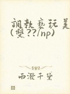 调教亵玩美人受(双??/np)