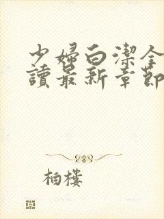 少妇白洁全文阅读最新章节封面