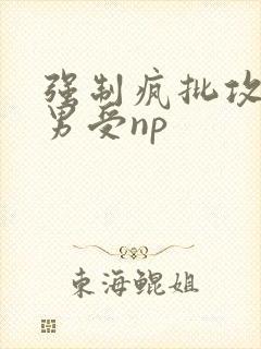 强制疯批攻虐直男受np