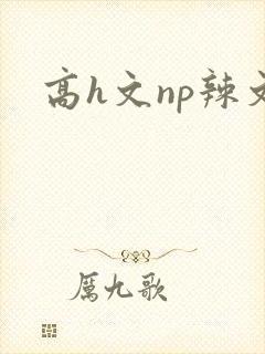 高h文np辣文