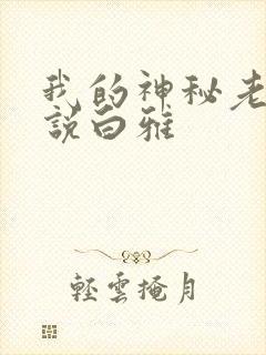 我的神秘老公小说白雅