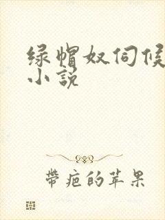 绿帽奴伺候老婆小说