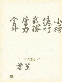 金庸武侠小说战斗力排行榜封面