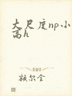 大尺度np小说高h