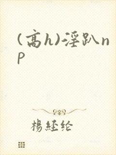 (高h)淫趴np