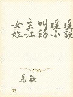 女主叫暖暖男主姓江的小说