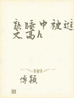 熟睡中被进了h文高h