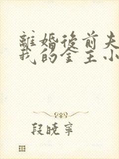 离婚后前夫成了我的金主小说封面