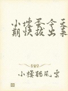 小坏蛋今天危险期快拔出来