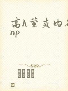 高h荤爽肉欲文np