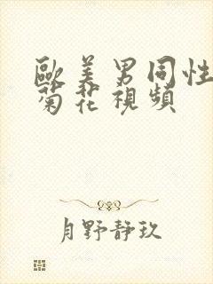 欧美男同性恋操菊花视频