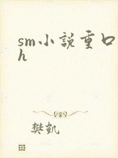 sm小说重口高h