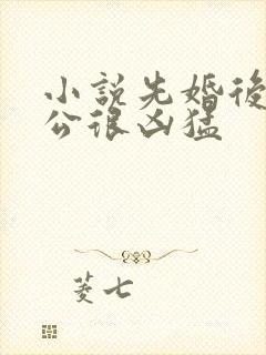 小说先婚后爱老公很凶猛