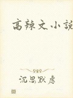 高辣文小说h文